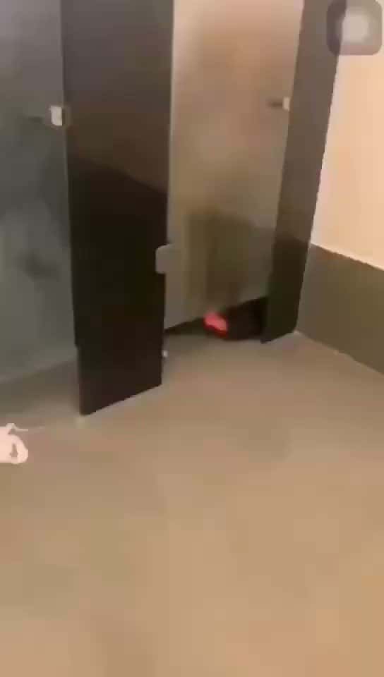 X (Twitter) adult video 41-9GjQPYv1hT7hr