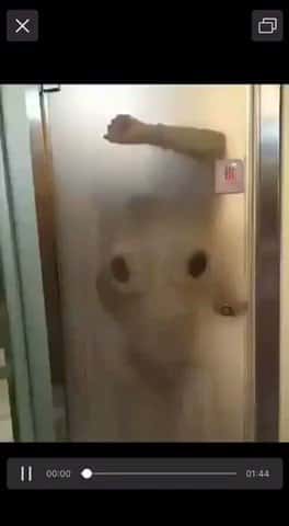 X(Twitter)エロ動画・アダルト動画 JUMH4mIIMyUUVHc2