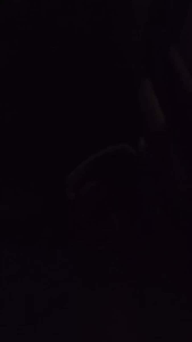 X (Twitter) adult video pnqwwkecwpdmti7r
