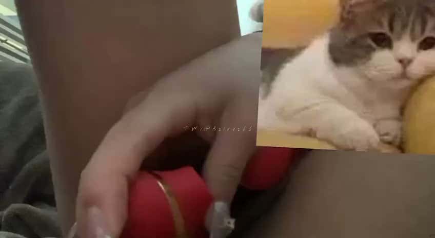 X (Twitter) adult video apvWamJBamCACGVn