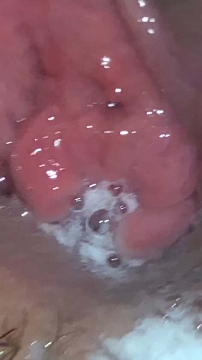 X (Twitter) adult video jzcc9yjemzzipprm