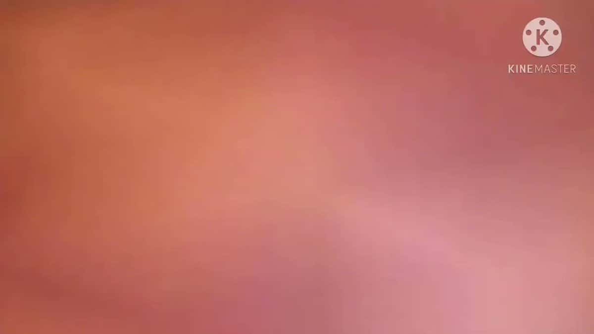 X (Twitter) adult video mpnso9aswlq6wbk8