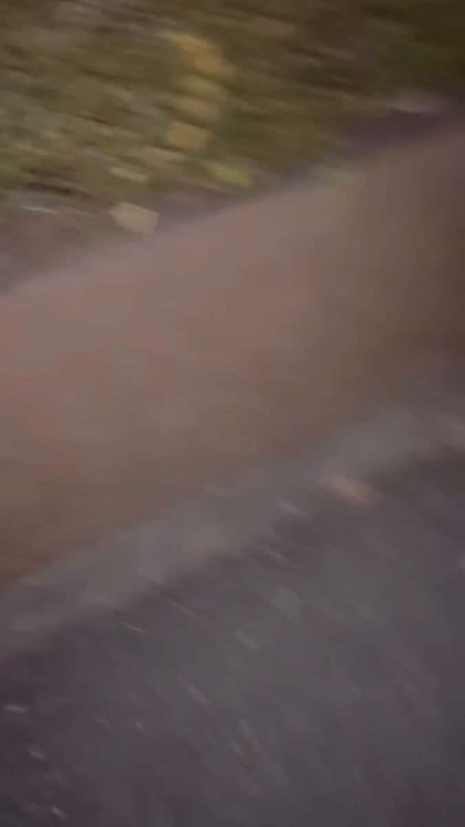 X (Twitter) adult video o1fh7mmgfcqpbal2