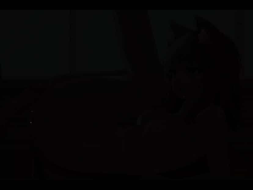 X (Twitter) adult video ex7o7faz1deqm49v