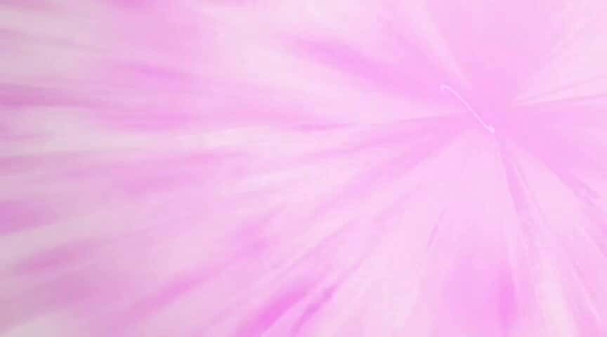 X (Twitter) adult video sqgeopal1eyjfgss