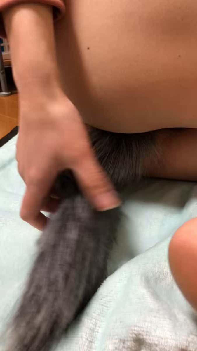 X(Twitter)エロ動画・アダルト動画 d99vjlgud1skreey