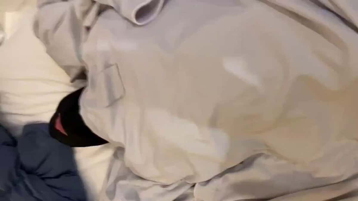 X (Twitter) adult video khpo485jyctrqbdr