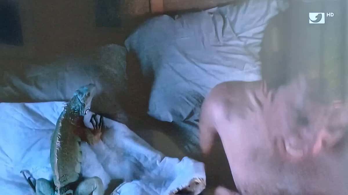 X (Twitter) adult video ltvw0hghjb6krqra