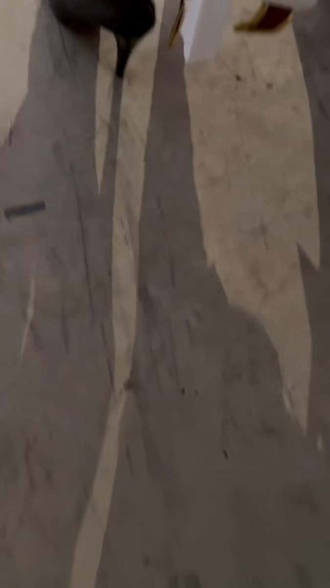 X (Twitter) adult video fanxc6jcwihv_ie0