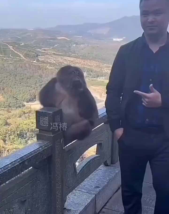 X (Twitter) adult video 2hzoqvpfv2lnhtxx
