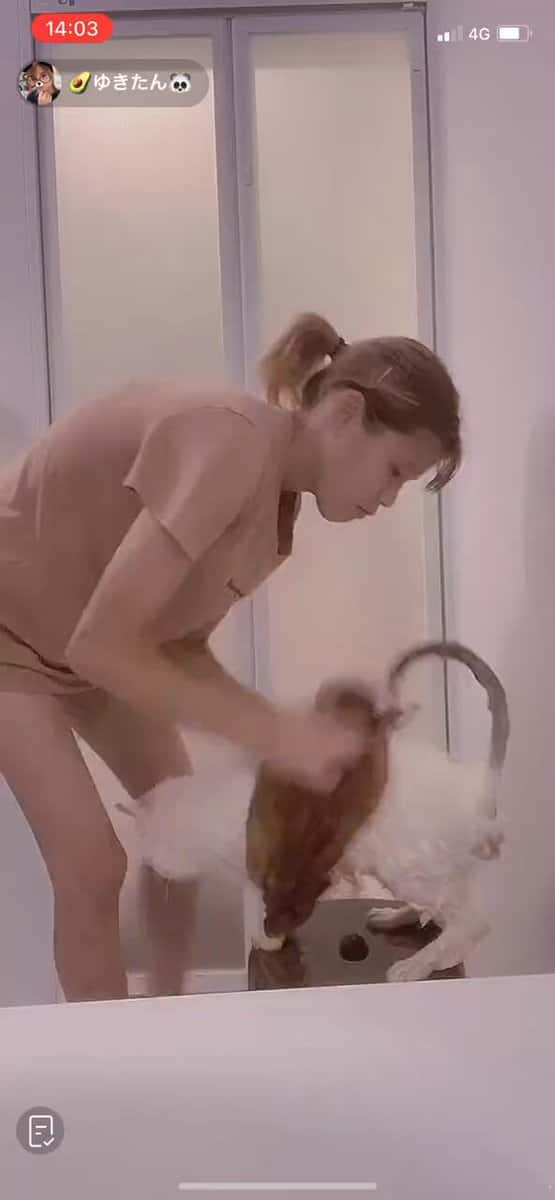 X (Twitter) adult video 6-07n9mh-rlgwa0d