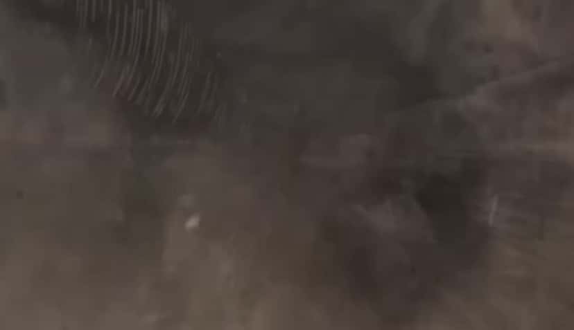 X (Twitter) adult video wdxvpc6nnlfubb6k