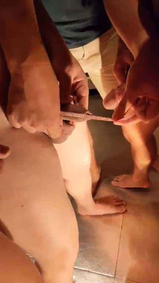 X (Twitter) adult video rkm5gjydamkdceoi
