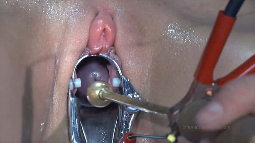 X (Twitter) adult video n_akgdnkbqa1uh-h