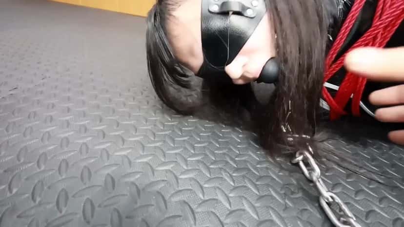 X (Twitter) adult video 2ayobnm6gwdtbuio