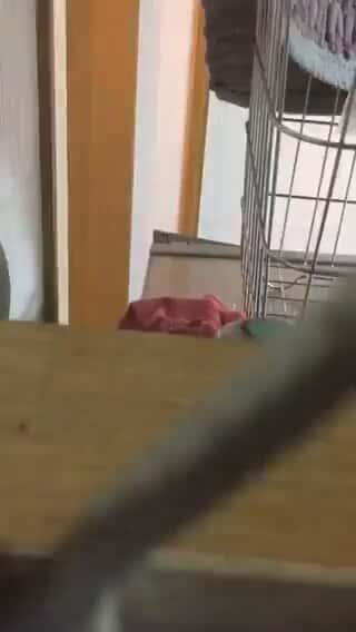 X (Twitter) adult video coivnbhkojw4phmm