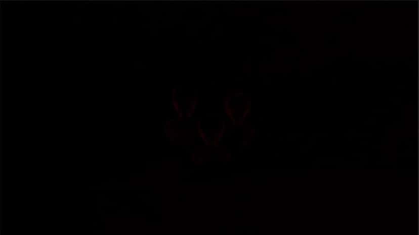 X (Twitter) adult video Hke2eKRKBdcobLmU