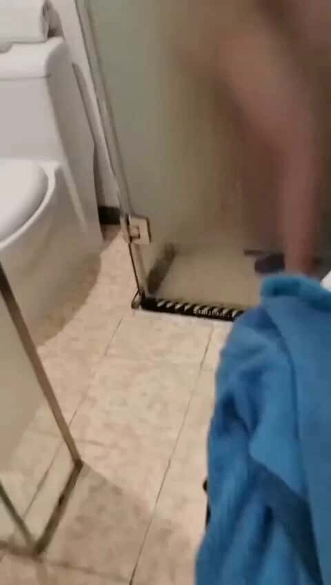 X (Twitter) adult video edRXEw2HmZLErkj-