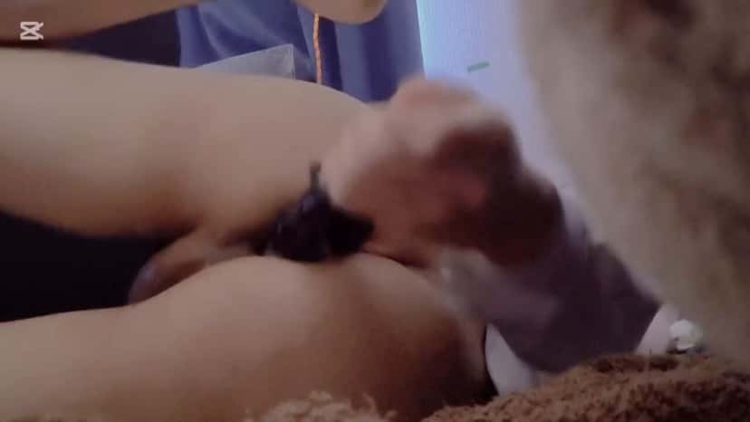 X (Twitter) adult video wdtcu3ao7bpu1hji