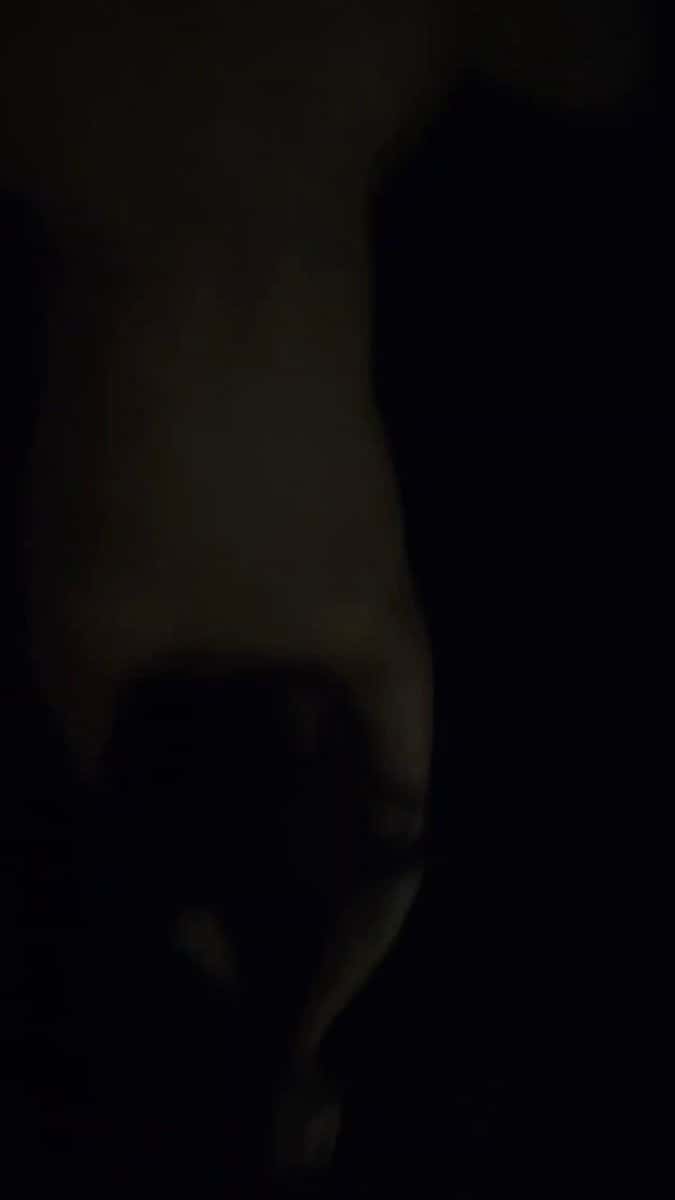 X (Twitter) adult video x5XmHhEmAo3P_jMl