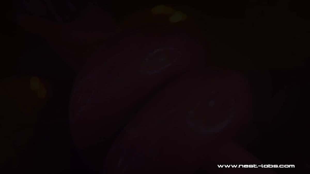 X (Twitter) adult video t8uIbPm7-t009_gg