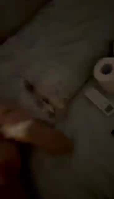 X (Twitter) adult video OQ3l4zwEGHbMQ3Qc