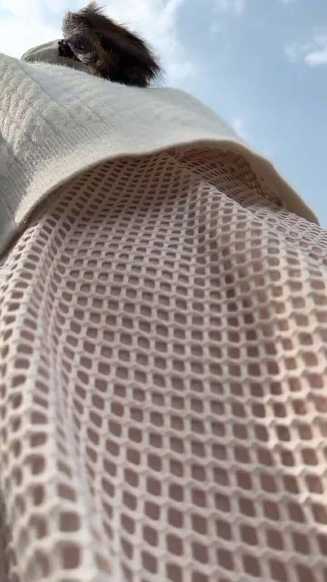 X (Twitter) adult video L-c69OLc0JHa-_9W