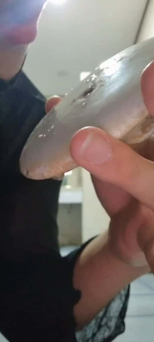 X (Twitter) adult video JbPJhY8etvwbCptK