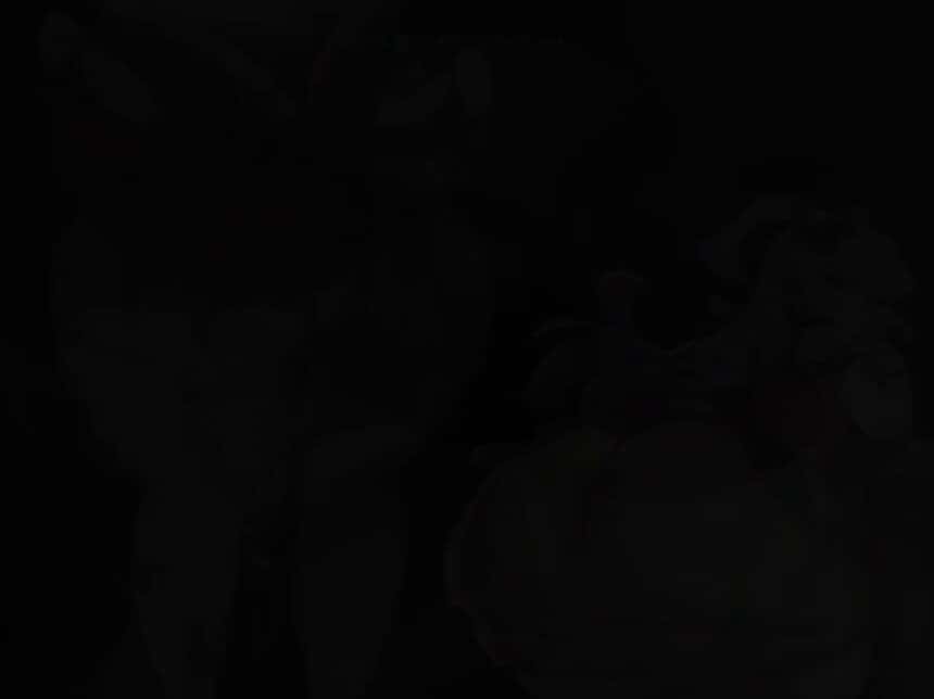 X (Twitter) adult video TG6KsHqoQKyDRd5V