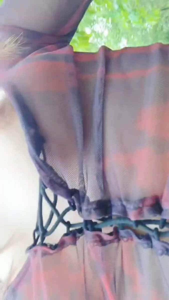 X (Twitter) adult video kICwghAA3S7wMflm