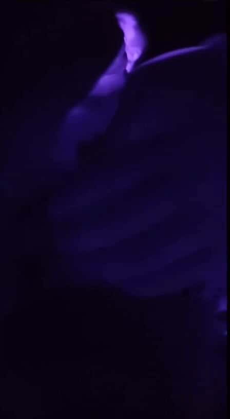 X (Twitter) adult video 17SX11hz5lQFT_dt