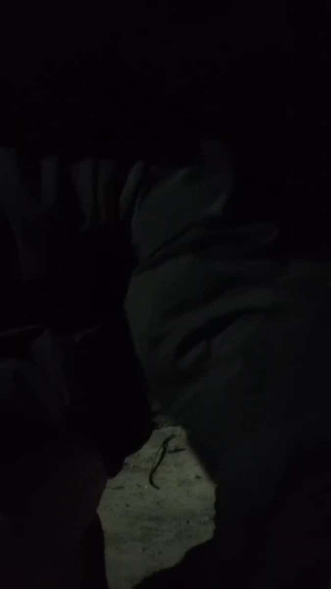 X (Twitter) adult video 5gDuAygKUG4Aa0jJ
