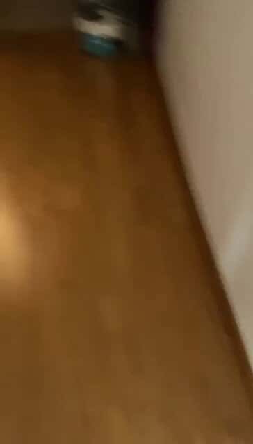 X (Twitter) adult video 3rlhAqJwMisrl2DF