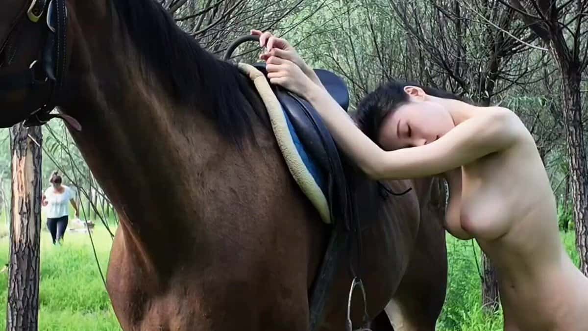 X (Twitter) adult video cBx_h-rCWw3SmsgZ