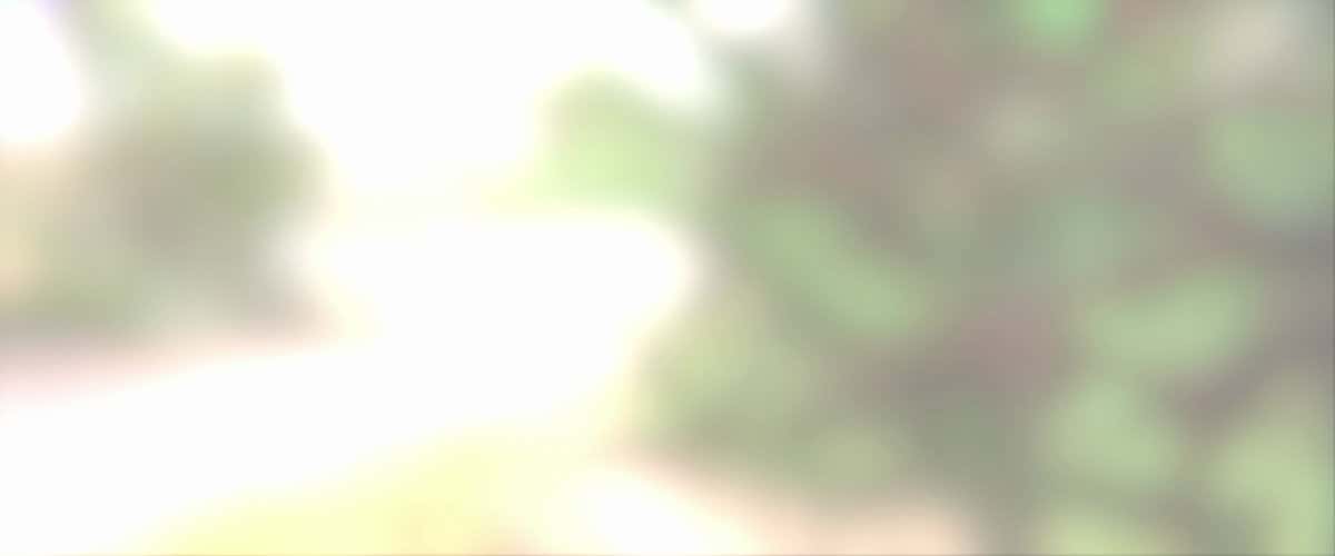 X (Twitter) adult video T5KJtTWyALJBRdO4