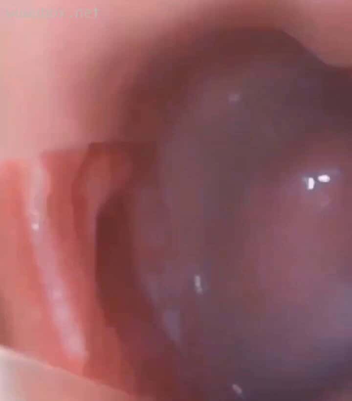 X (Twitter) adult video fazEpgoa3lKOLhLF