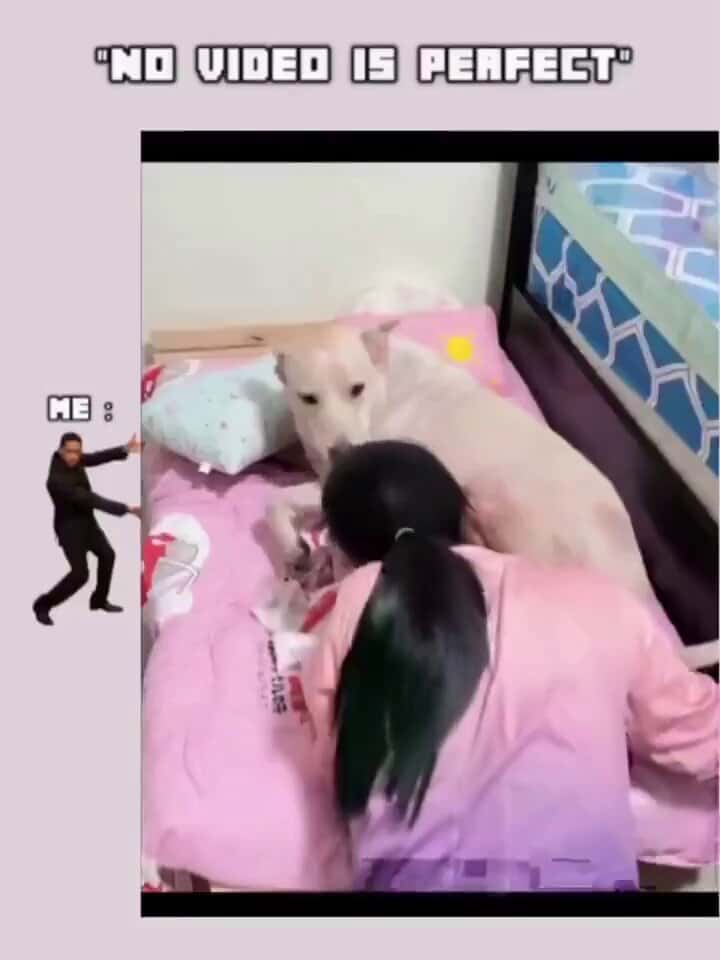 X (Twitter) adult video WXZ1rfcTIH04sjYQ