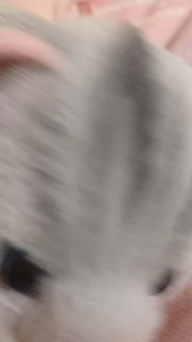 X (Twitter) adult video 99rqqv1h9zke6uhb