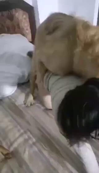 MtULmAnRaZ_3hW2O